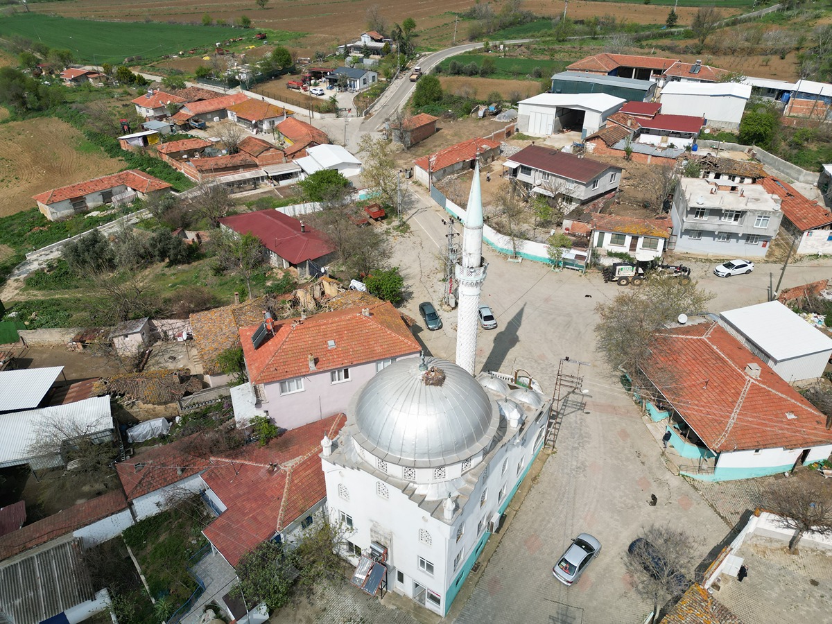 leyleklerin-yuva-yaptigi-yer-1200x900