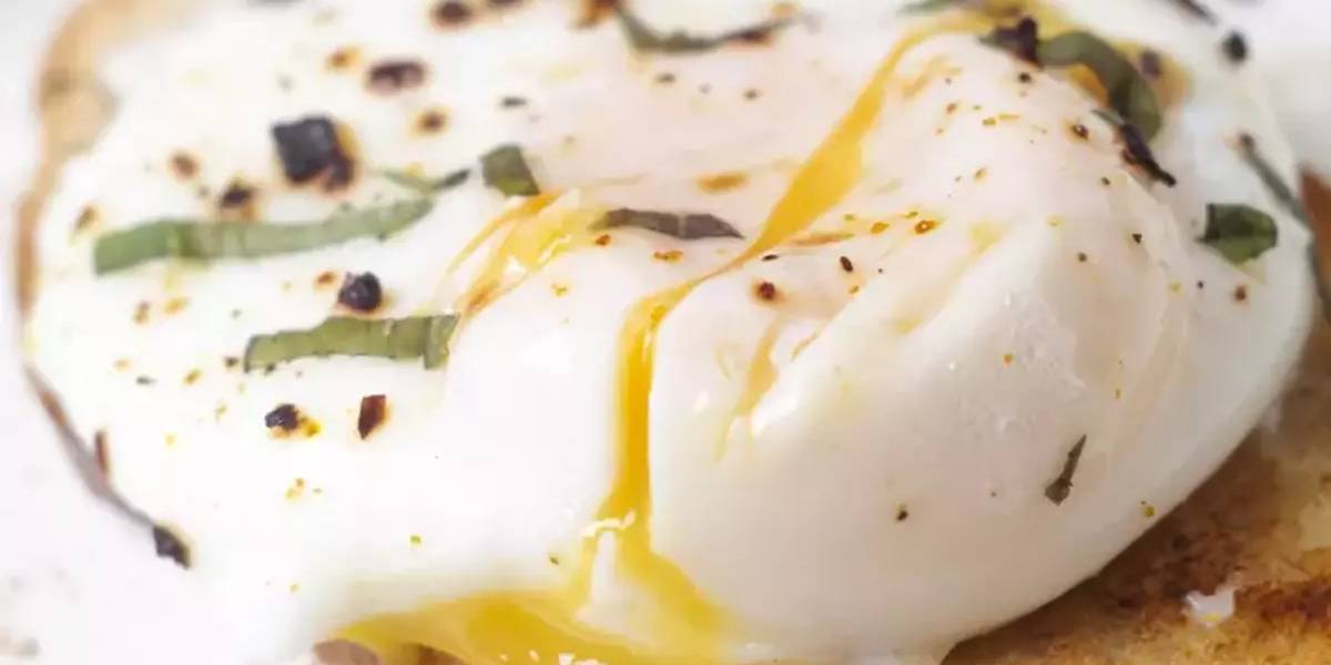 canan-karatay-yumurta-1