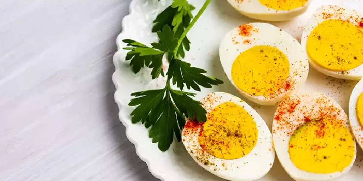 canan-karatay-yumurta-2