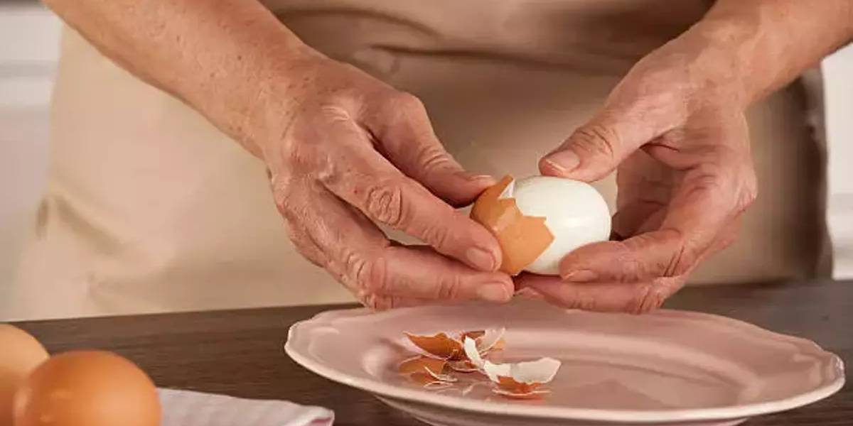 canan-karatay-yumurta-3