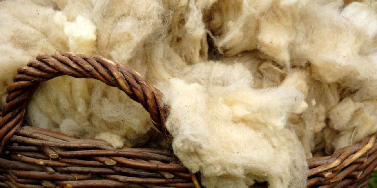 en-fazla-yun-uretimi-yapan-ulkeler-3