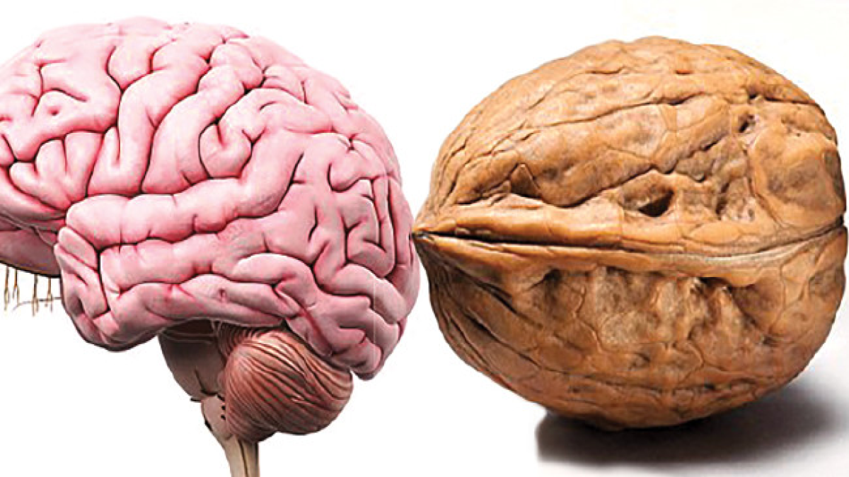 resim-2025-04-08-171836560