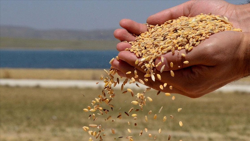 thumbs-b-c-1d2ecdfc4f7f4d67c5a477bc14a8f2b3