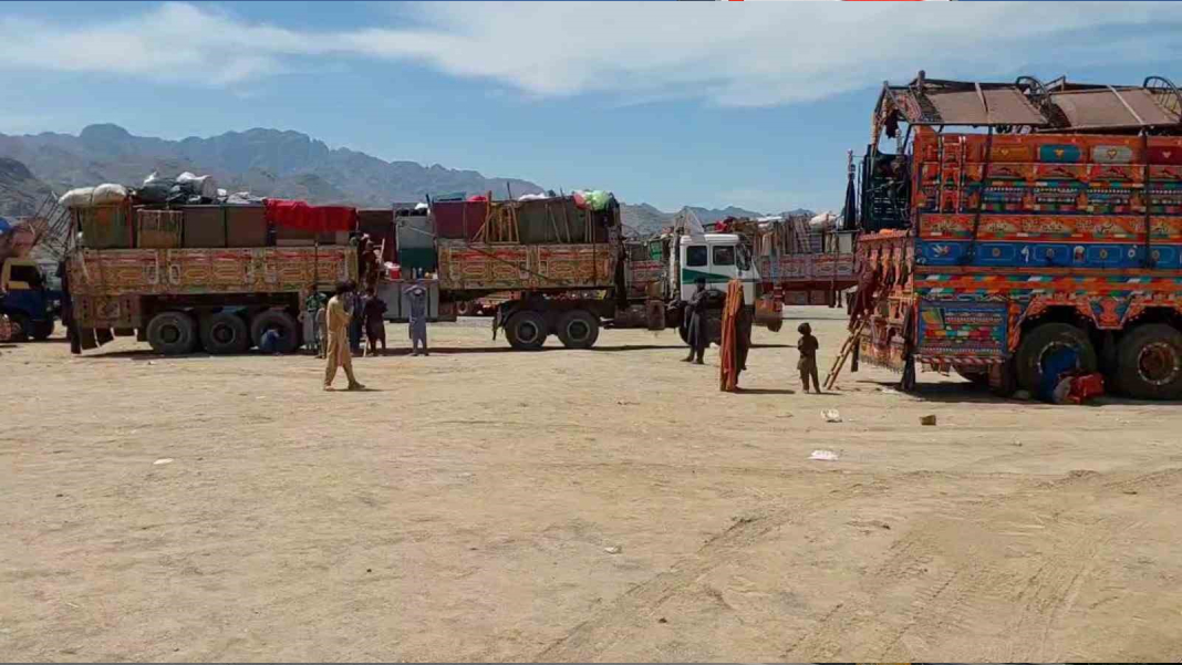 yeni-sablon-her-sey-1-1-1-38-kopyasi-61