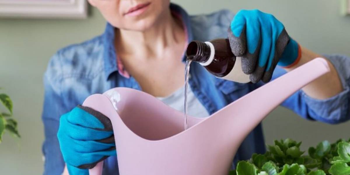 hediyelik-cicekleri-2