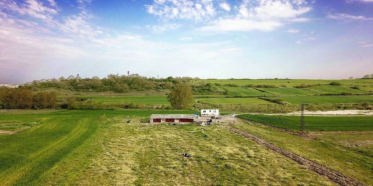 milli-emlak-ankara-istanbul-amasya-1