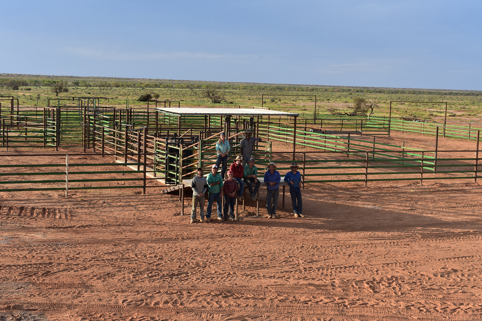 newyardatoliviascompleted