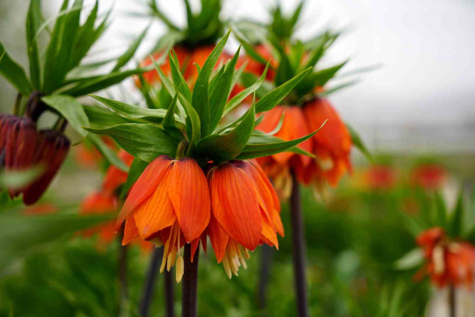 20250410aw429190-0-001