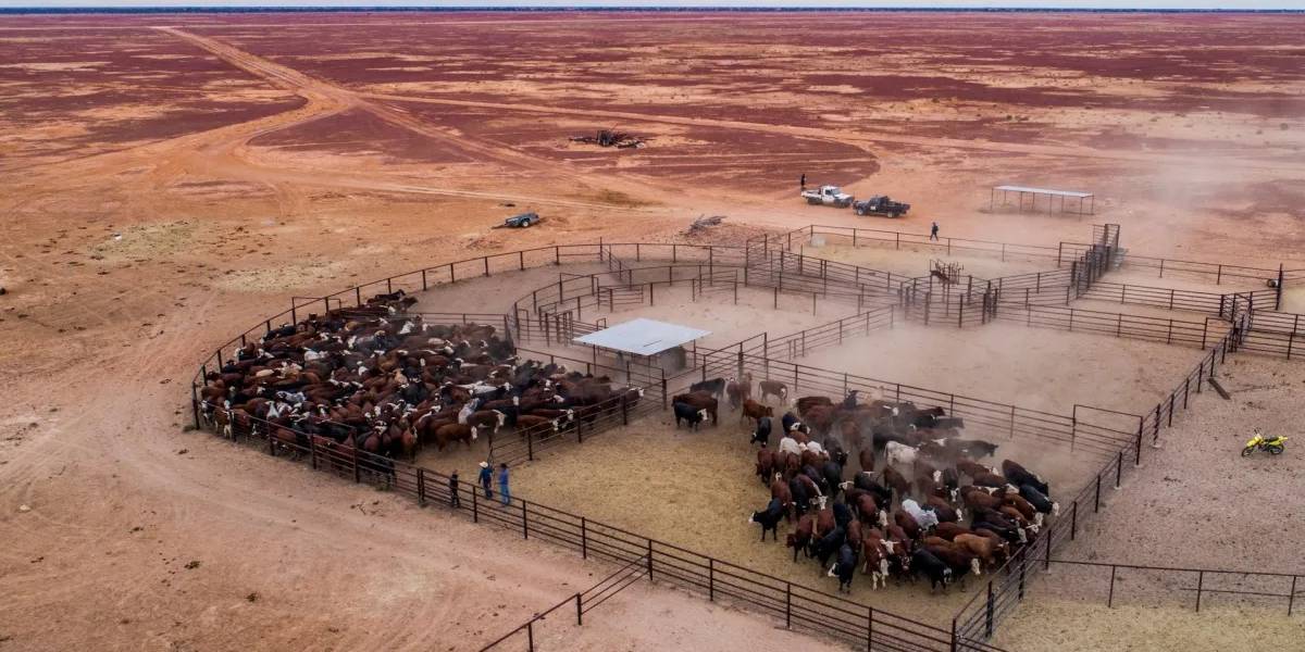 dunyanin-en-buyuk-ciftligi-2