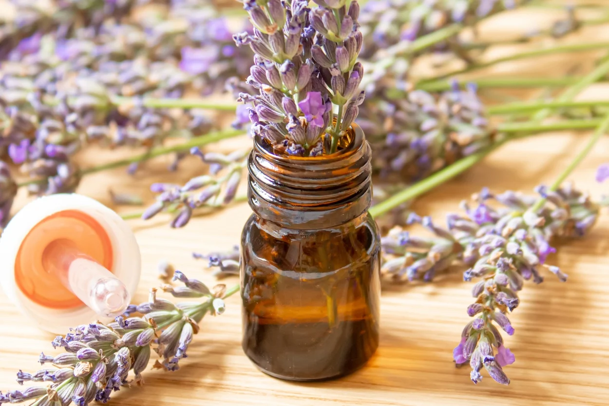 lavanta-yagi-nasil-kullanilir-1