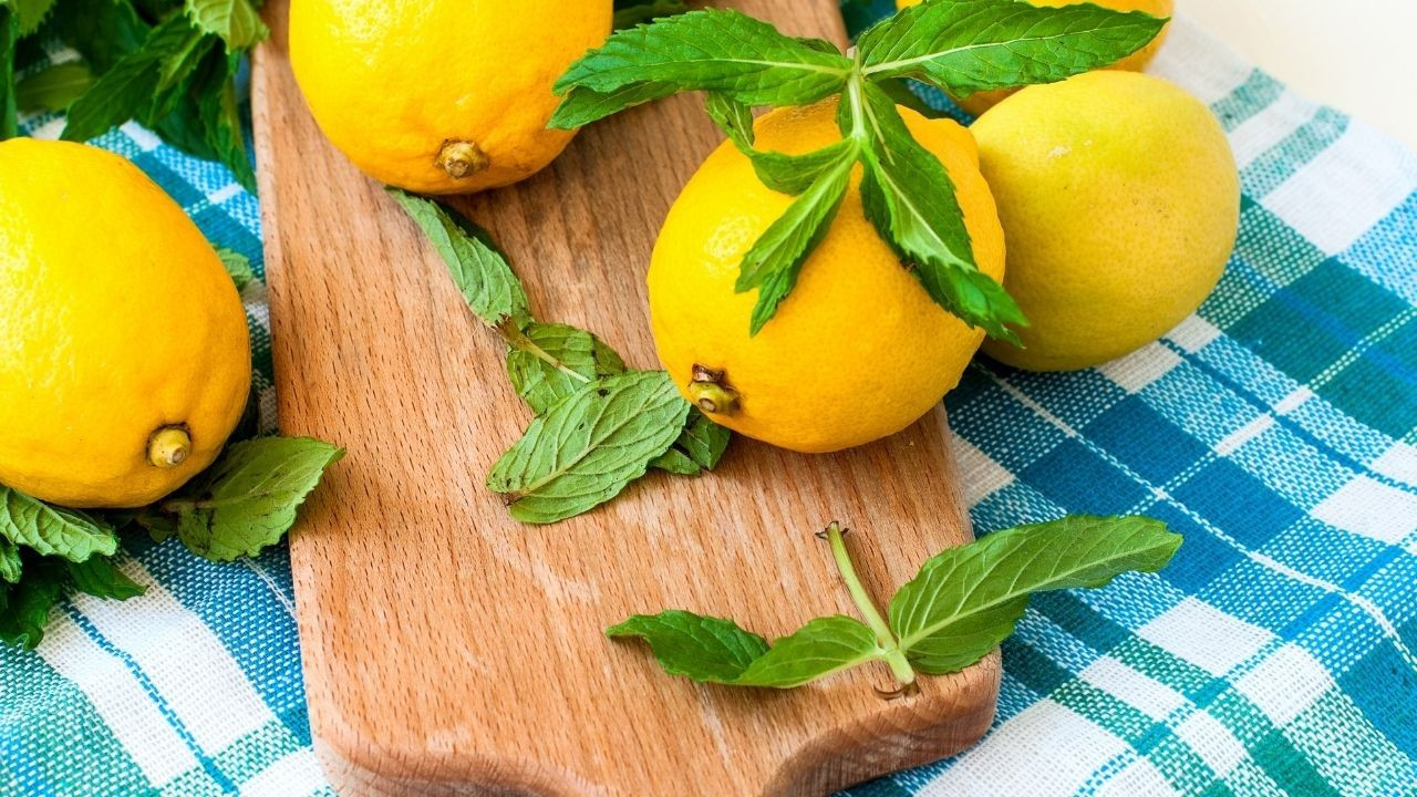 nane-limon-hvxs-cover