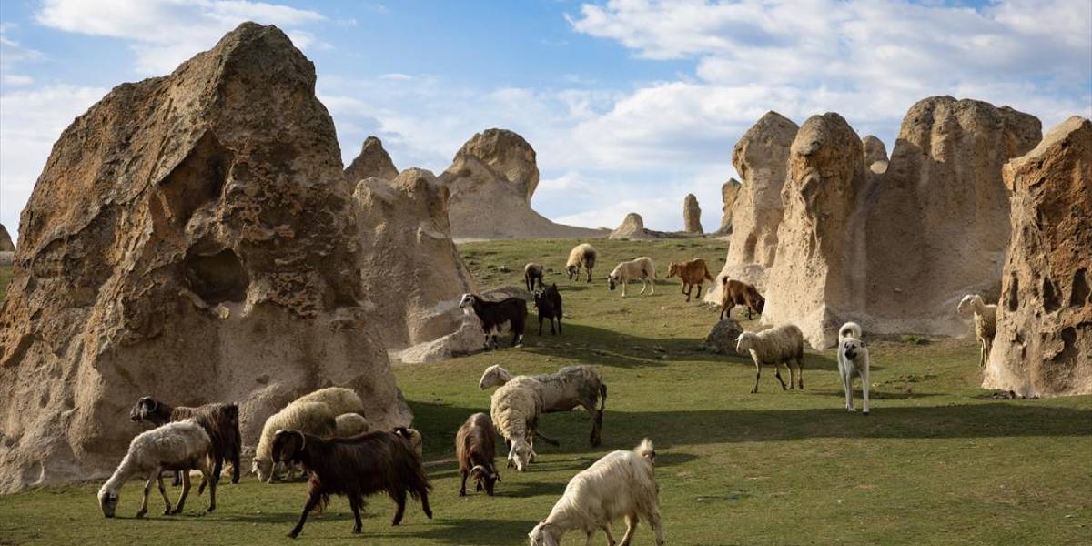 yeni-proje-36-002.jpg