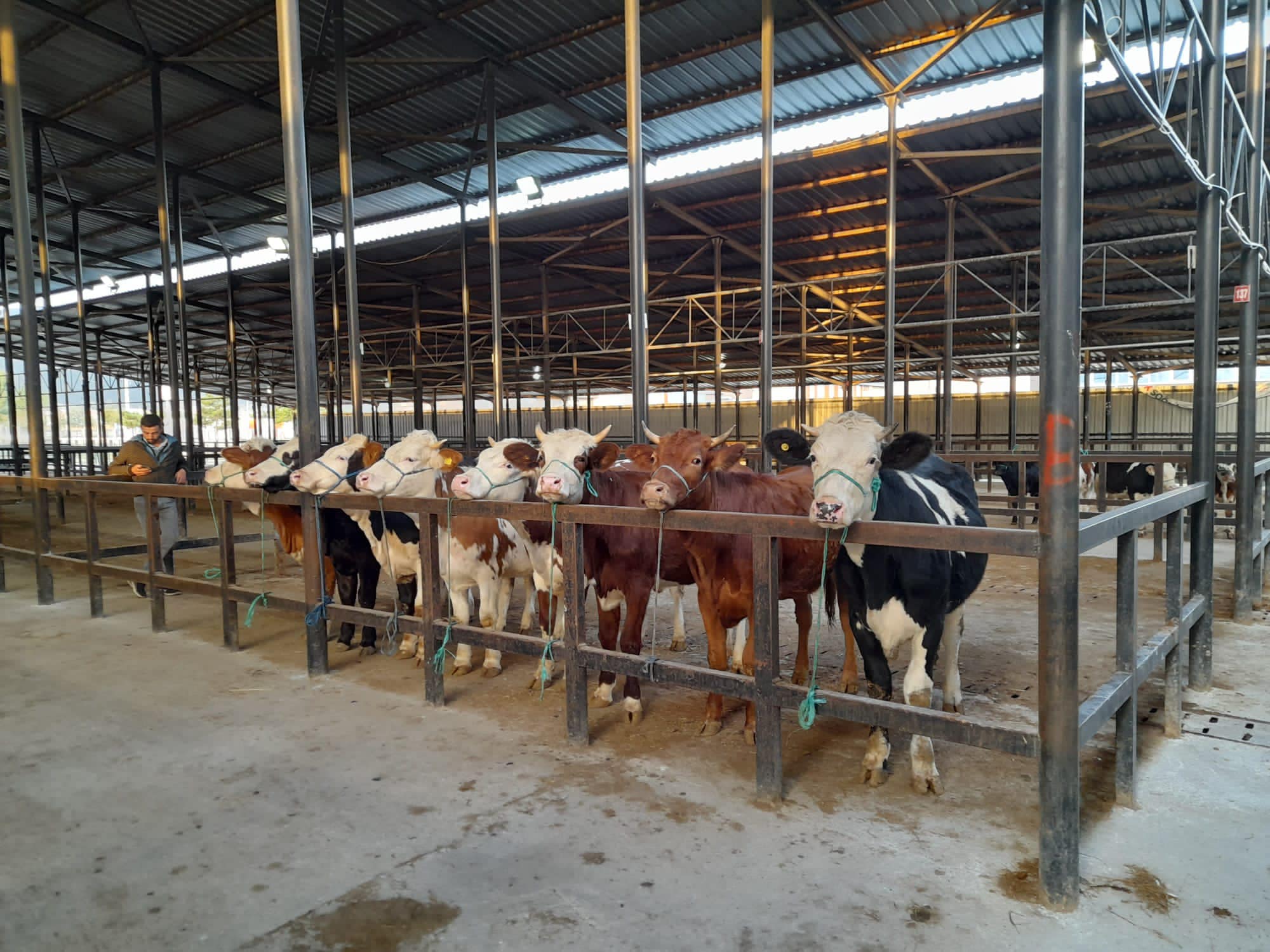 385303755-717810813713758-3654286340391194126-n