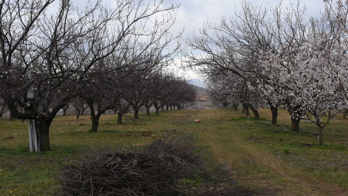 ana-fotokurtarildikurtarildijpg-c9tf58qqa02-xy5h3vs-xw