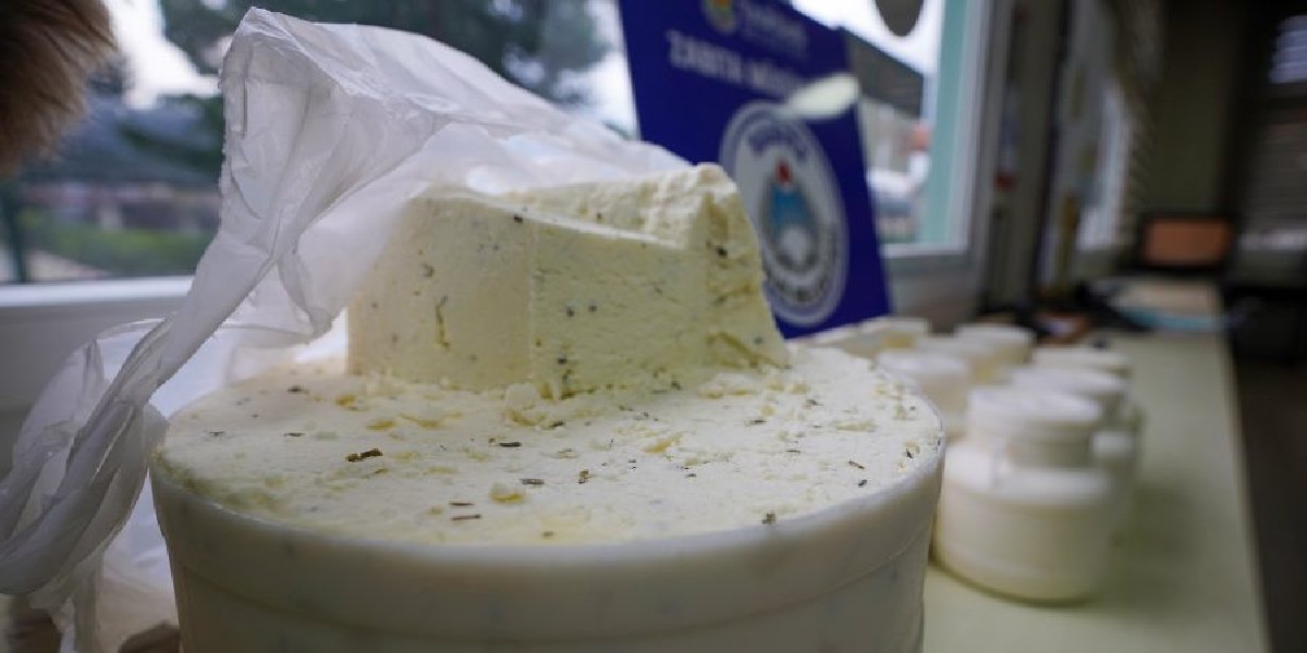 sahte-peynir-nasil-anlasilir