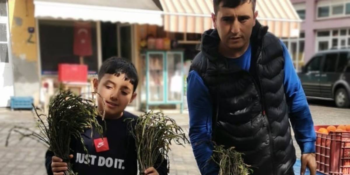 aydinda-yetisen-otlar-2