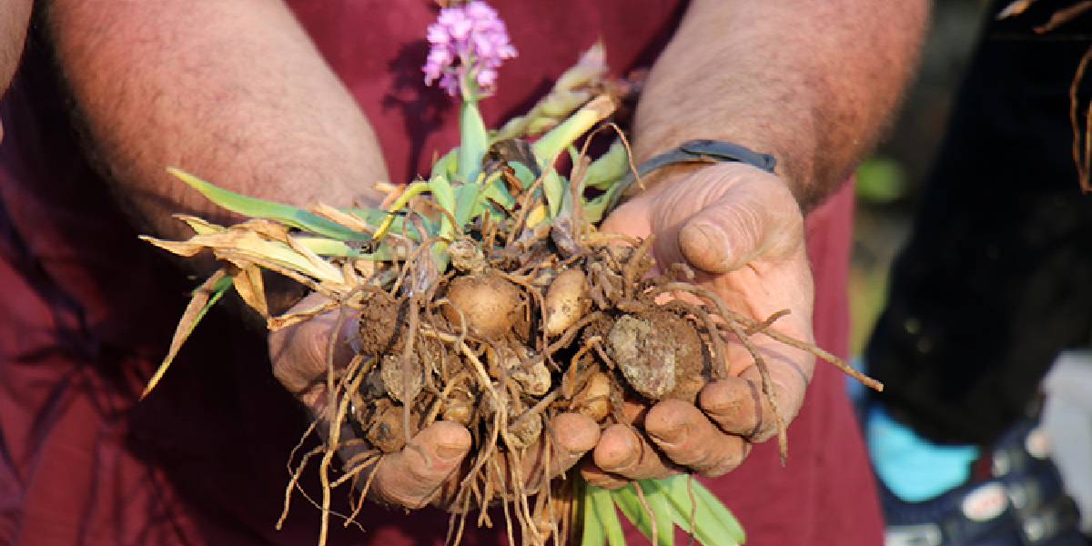 salep-hasadi-artiyor-3