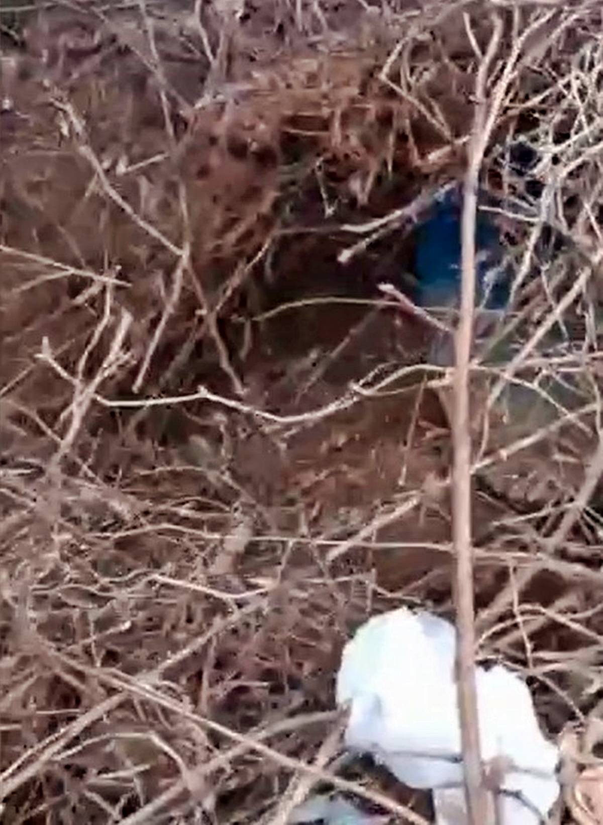 rize-ardesen-son-dakika-haberleri-2