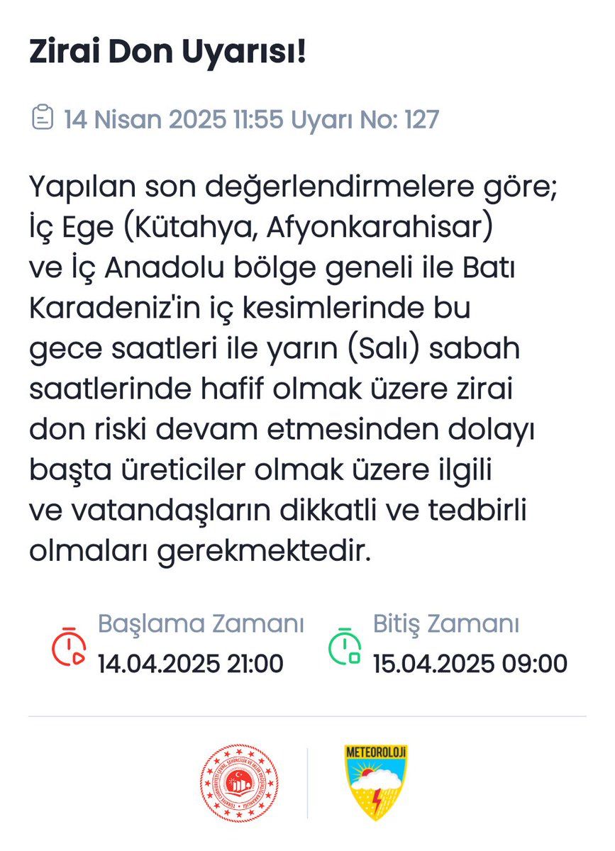 whatsapp-image-2025-04-14-at-12-42-17