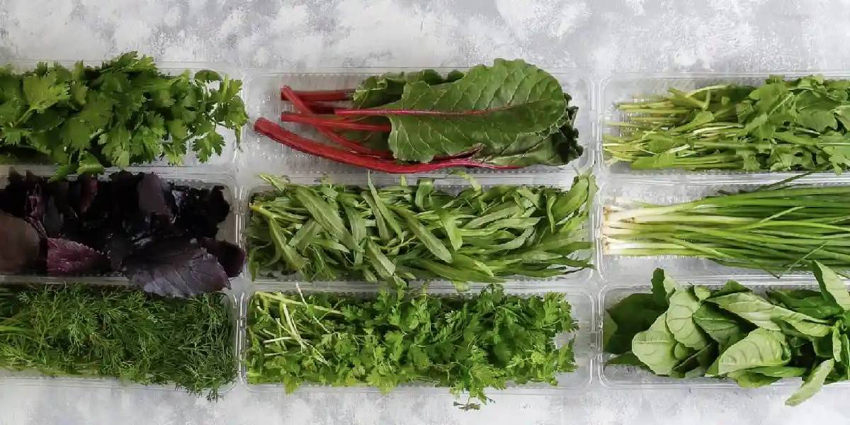 yesillikleri-uzun-sure-korumanin-yolu-2