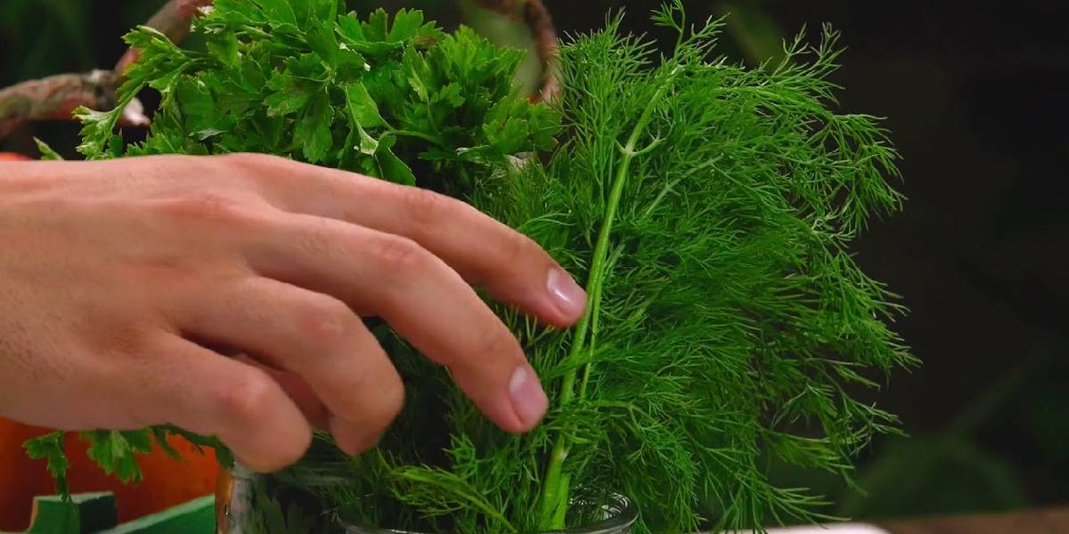 yesillikleri-uzun-sure-korumanin-yolu-3