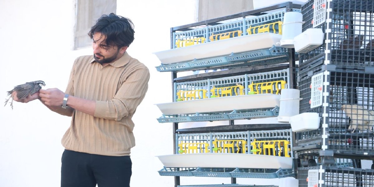 huseyin-goksel-bildircin