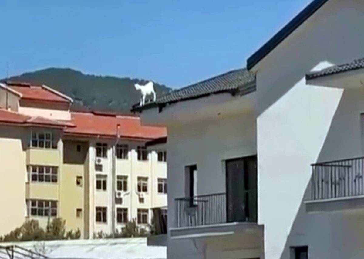 mugla-fethiye-son-dakika-haberleri-1.jpg
