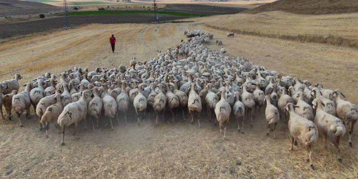 yeni-proje-26.jpg