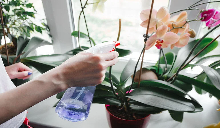 0cf97fa9f68a4838938891641b84ef51