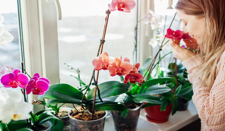 9684e740d59740208a0de461dffcf2e4