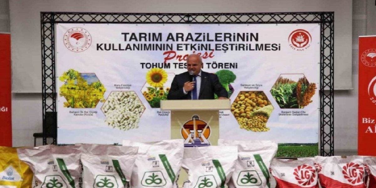 aycicek-tohum.jpg