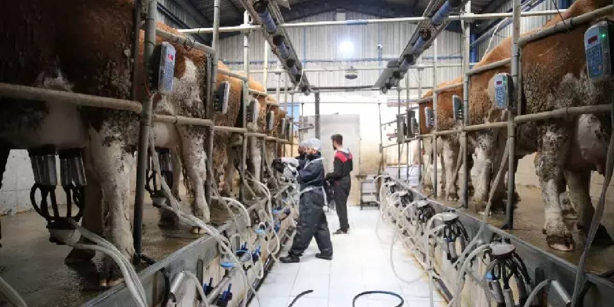 diyarbakirda-ciftcilik-yapan-1