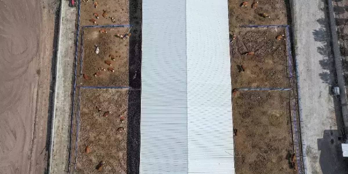 diyarbakirda-ciftcilik-yapan-2