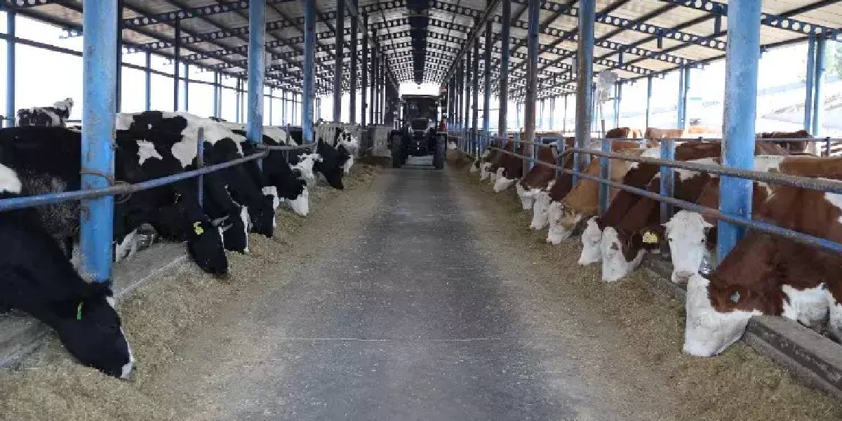 diyarbakirda-ciftcilik-yapan-3