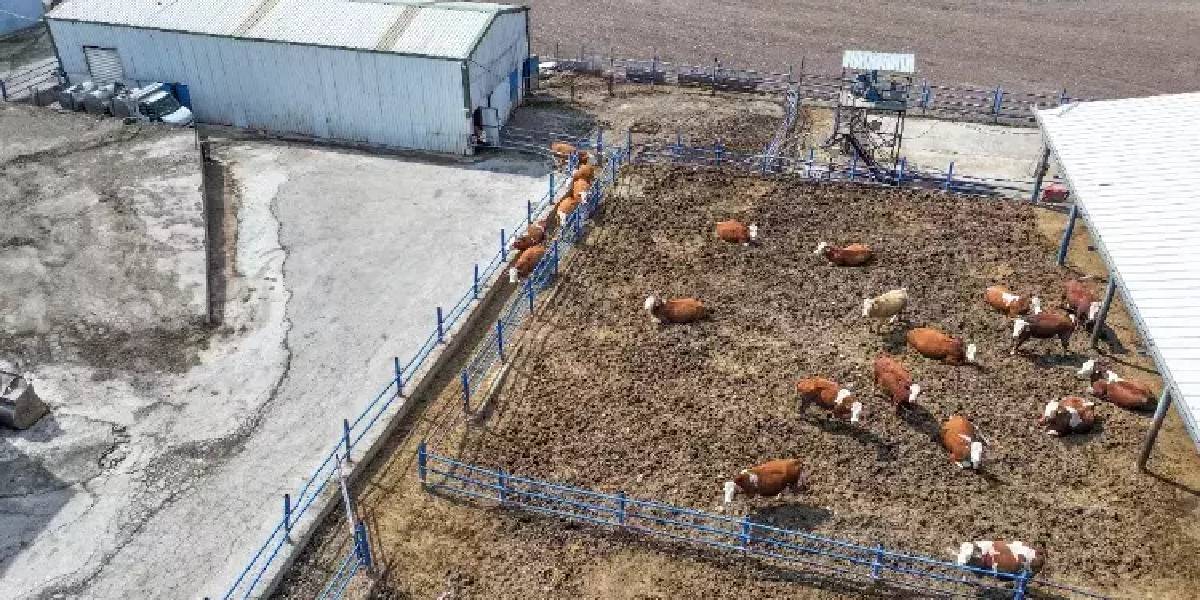 diyarbakirda-ciftcilik-yapan-4