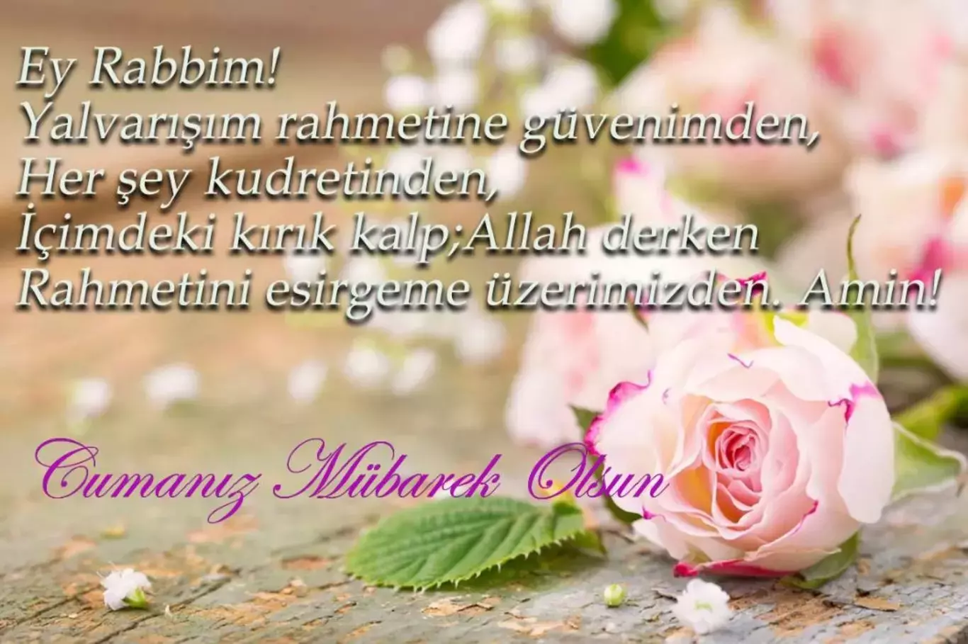 4.webp