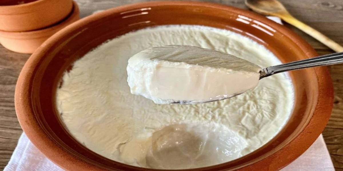 yogurt-mayalama-3.jpg