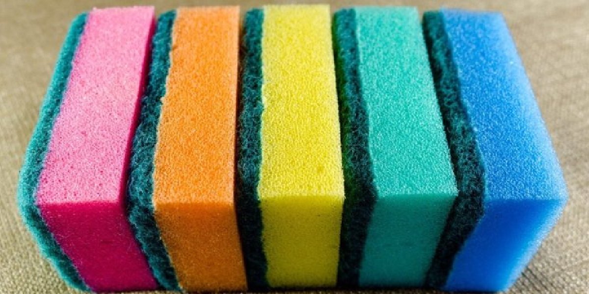 sungerler-ve-renkleri