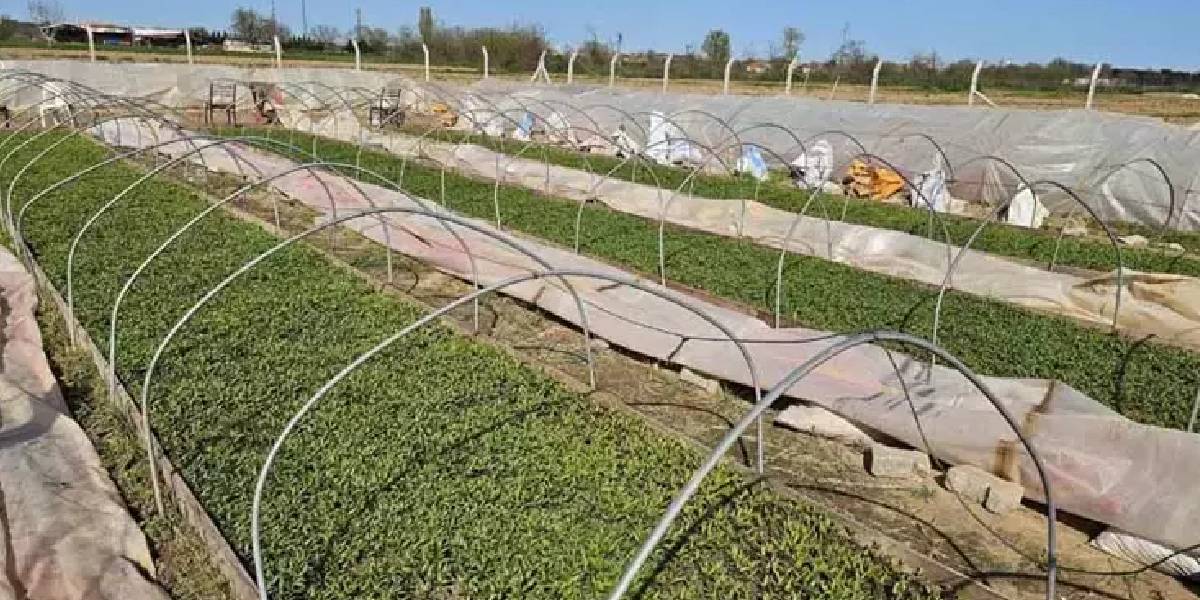 yeni-proje-4.jpg