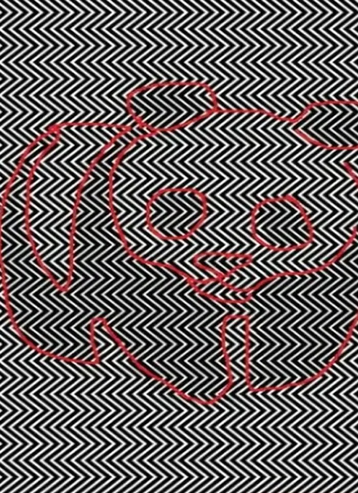 zigzag-test-yanit.jpg