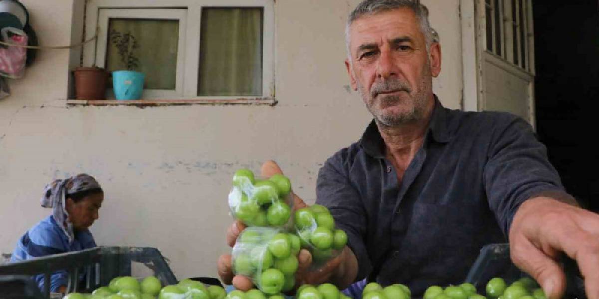 hatayda-can-erigi-2.jpg