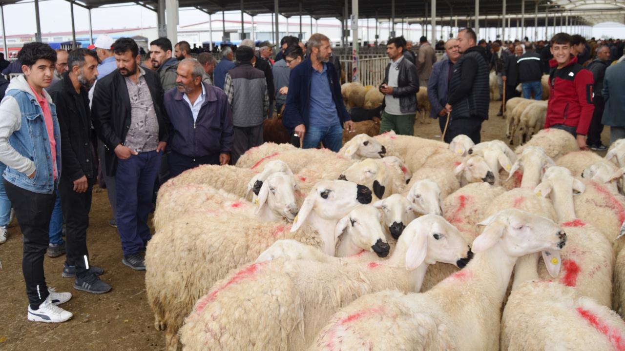 kurban-bayrami-dha-2062408.jpg