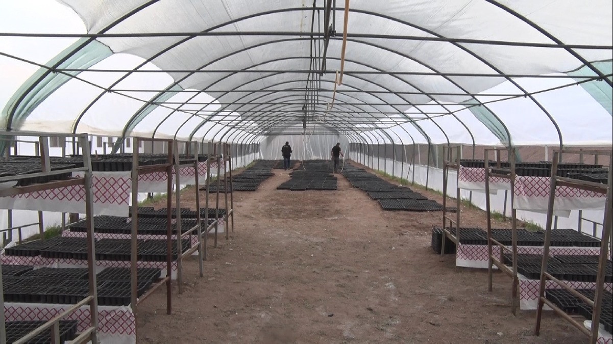 siwi-world-ve-gg-ecosystem-dijital-ekonomiye-yon-verecek-sistemler-1200x675.jpg