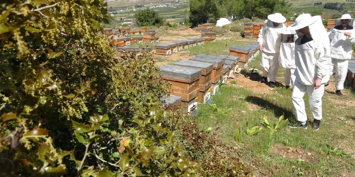 yeni-proje-19.jpg