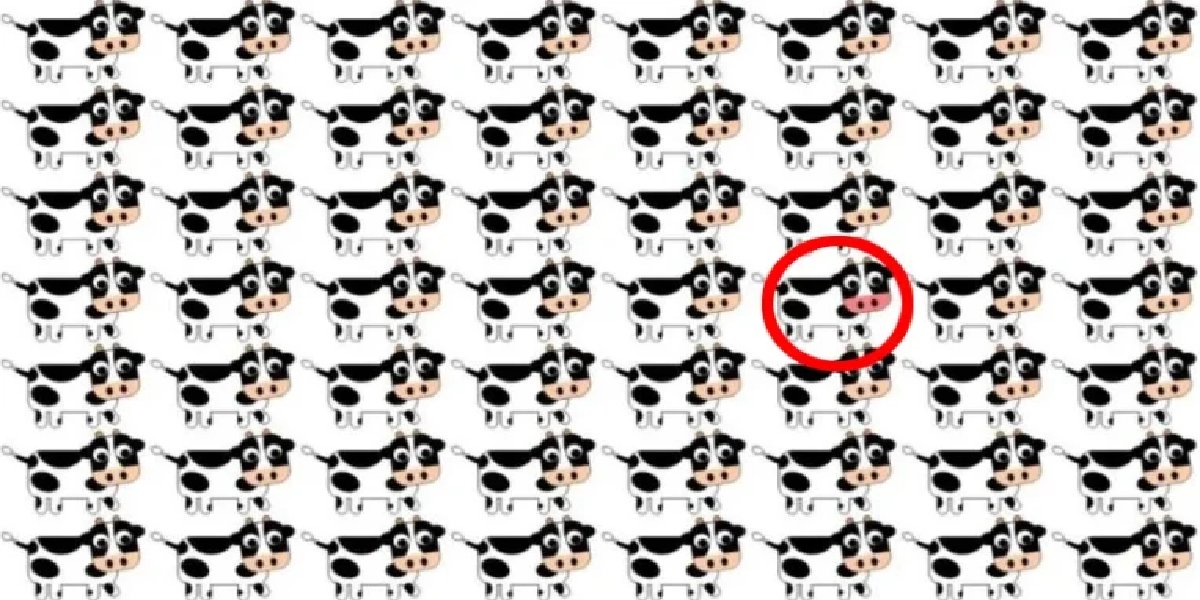 inek-test-sonuc.jpg