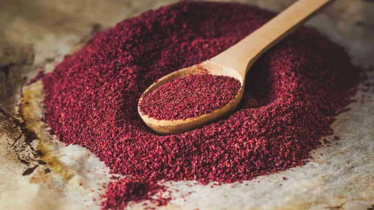 sumagin-binlerce-yildir-gizlenen-gercegi-gna5