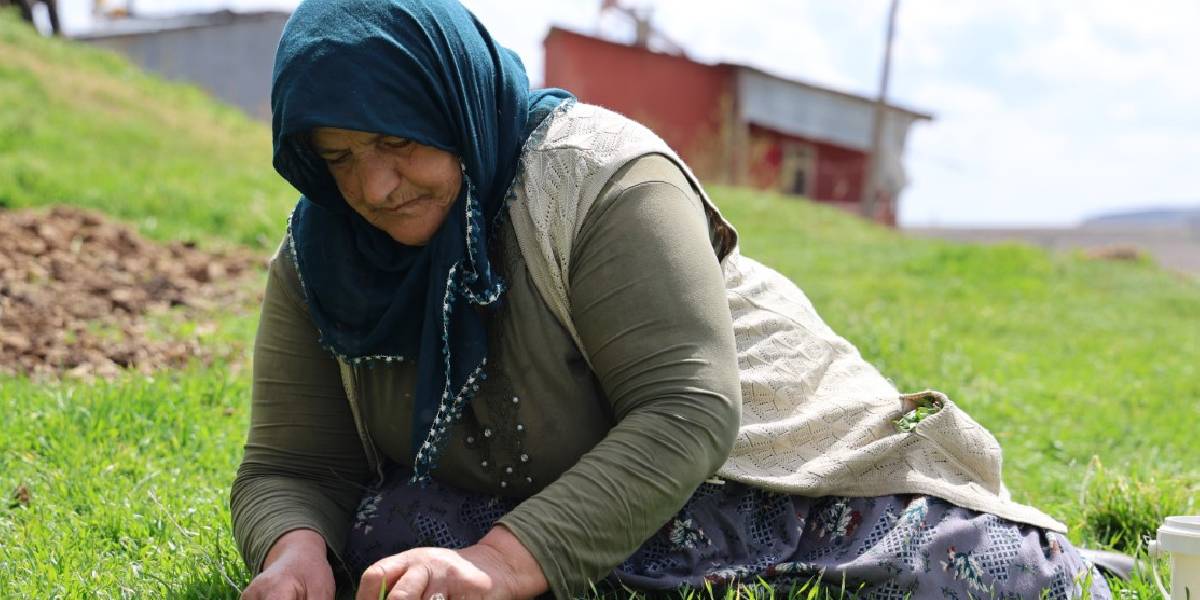 yeni-proje-39.jpg