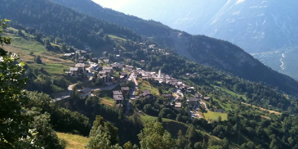albinen-koyu-1.jpg