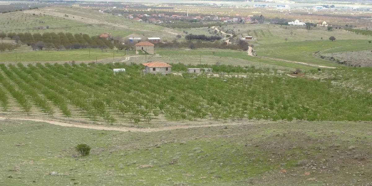 zirai-don-bademi-etkilemedi-1.jpg