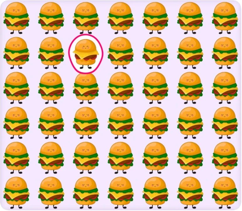 hamburger-test-yanit.jpg